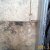 IAQ-Mold 