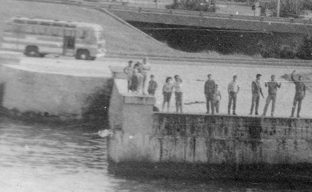 ������� ���������� ����